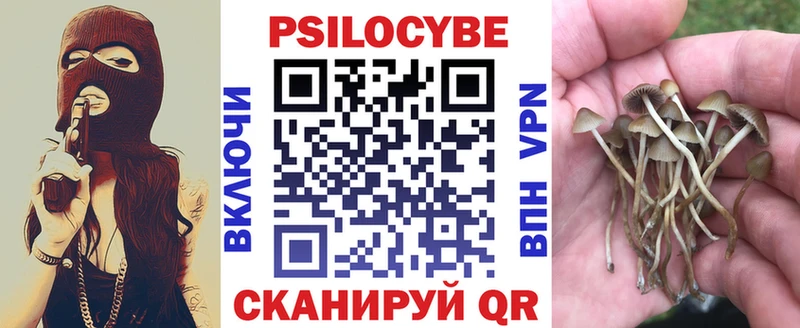 Псилоцибиновые грибы Magic Shrooms  Купить  Минусинск 
